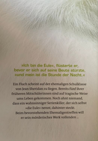 Mary Higgins Clark: Mein ist die Stunde der Nacht